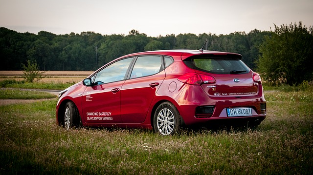 automobil na louce