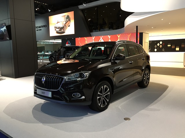 Borgward v saloně